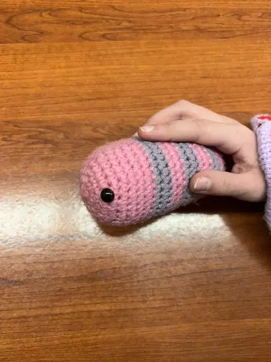 Crochet Worm